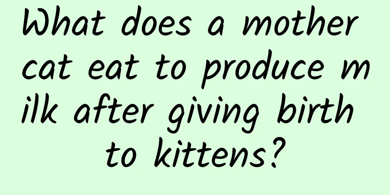 What does a mother cat eat to produce milk after giving birth to kittens?