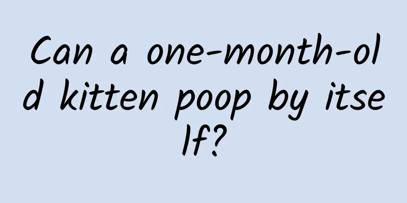 Can a one-month-old kitten poop by itself?