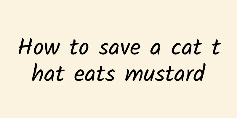 How to save a cat that eats mustard