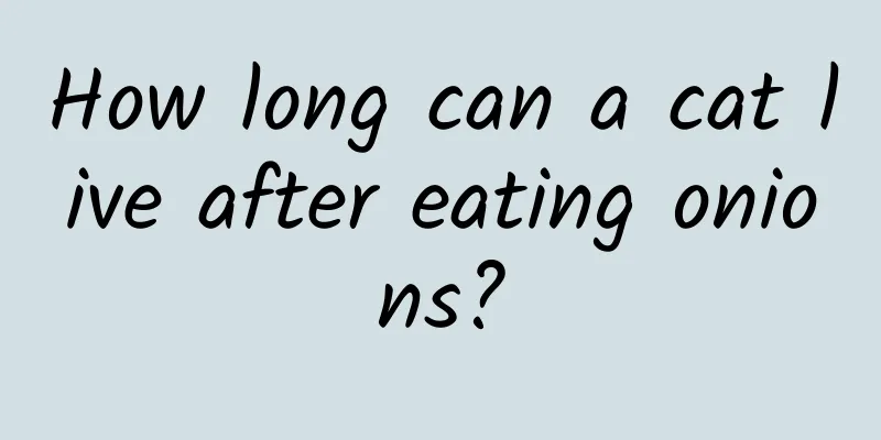 How long can a cat live after eating onions?