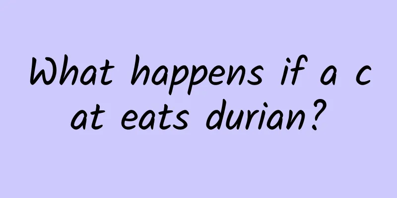 What happens if a cat eats durian?