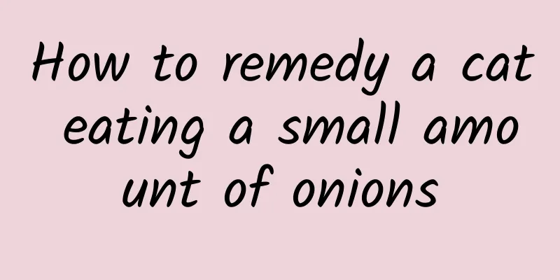 How to remedy a cat eating a small amount of onions