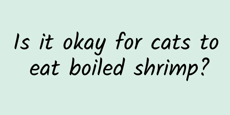 Is it okay for cats to eat boiled shrimp?