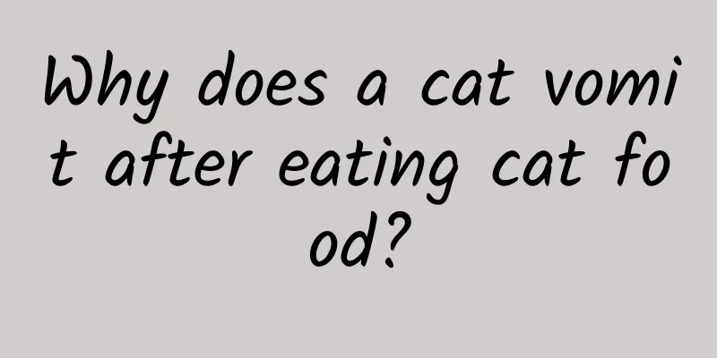 Why does a cat vomit after eating cat food?