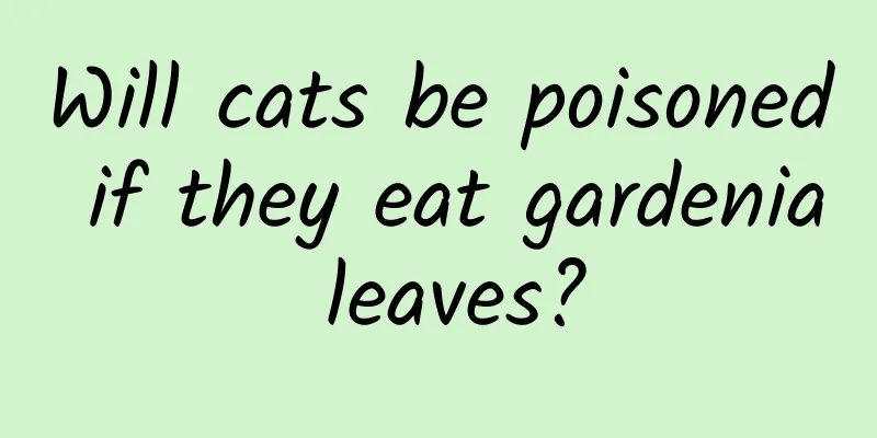 Will cats be poisoned if they eat gardenia leaves?