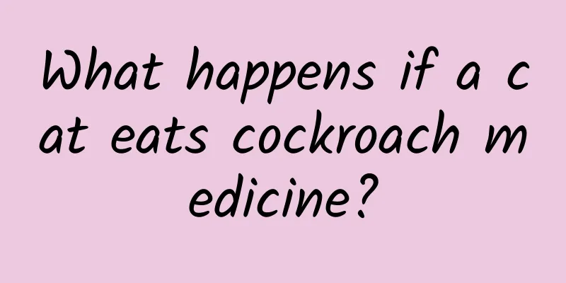 What happens if a cat eats cockroach medicine?
