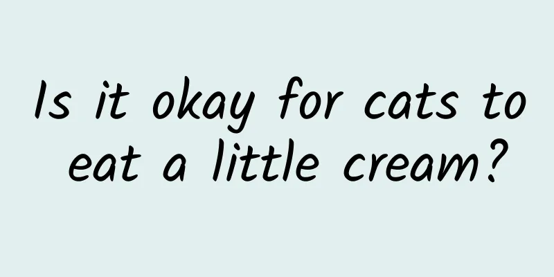 Is it okay for cats to eat a little cream?
