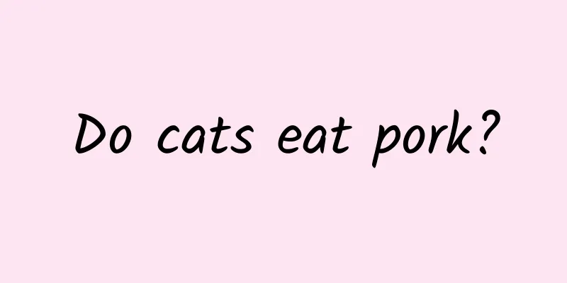 Do cats eat pork?