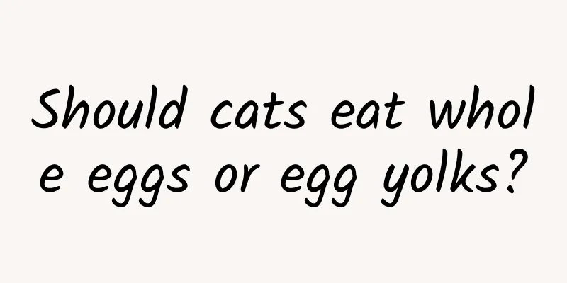 Should cats eat whole eggs or egg yolks?