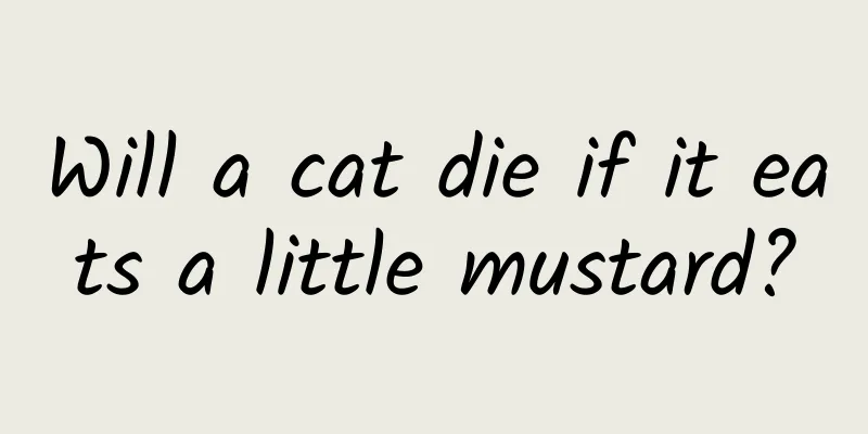 Will a cat die if it eats a little mustard?