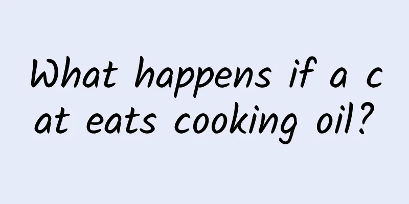 What happens if a cat eats cooking oil?