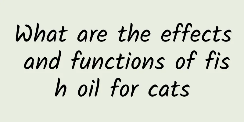 What are the effects and functions of fish oil for cats