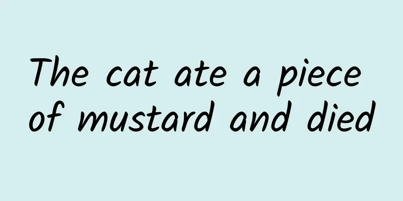 The cat ate a piece of mustard and died