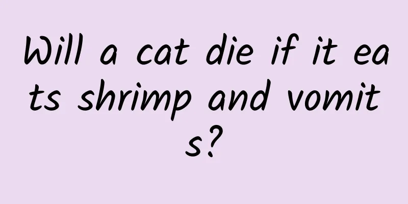 Will a cat die if it eats shrimp and vomits?
