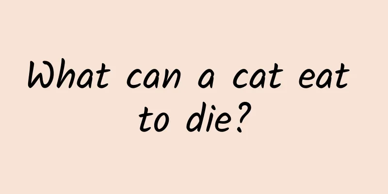 What can a cat eat to die?