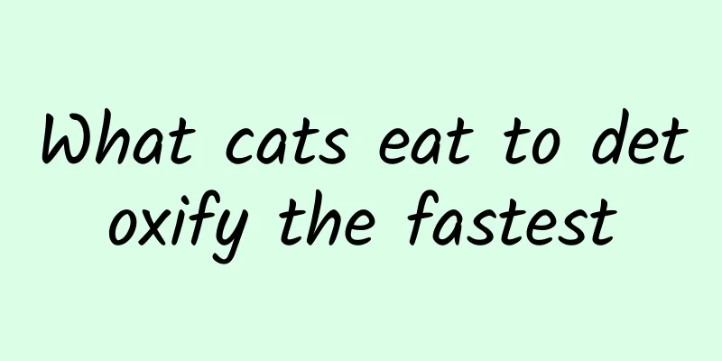 What cats eat to detoxify the fastest