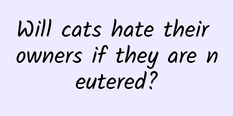 Will cats hate their owners if they are neutered?