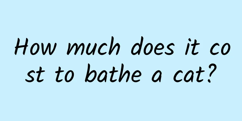 How much does it cost to bathe a cat?
