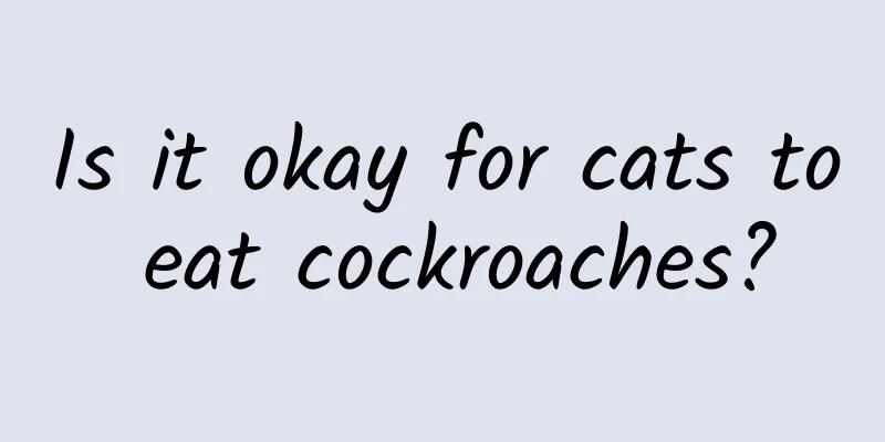 Is it okay for cats to eat cockroaches?
