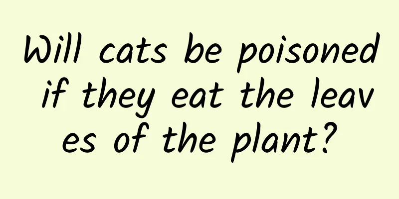Will cats be poisoned if they eat the leaves of the plant?