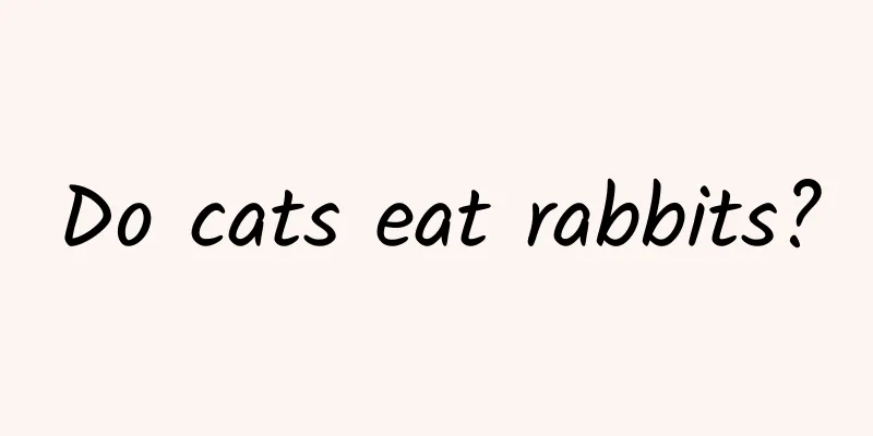 Do cats eat rabbits?