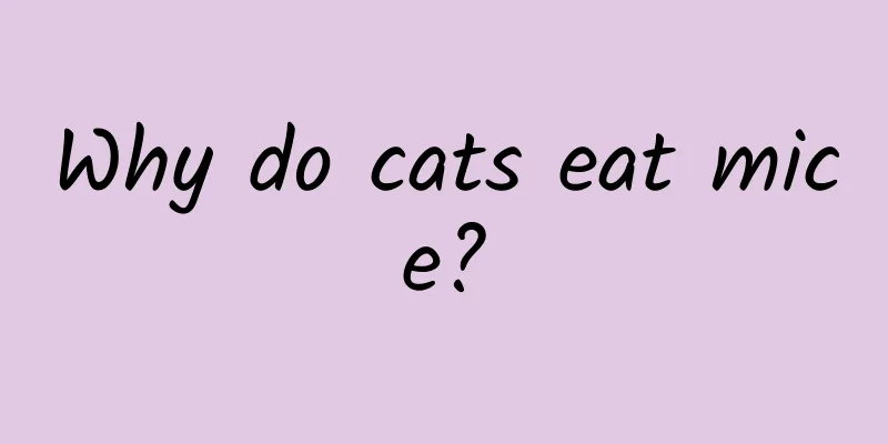 Why do cats eat mice?