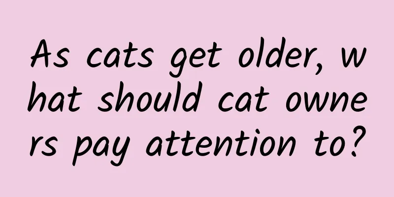 As cats get older, what should cat owners pay attention to?