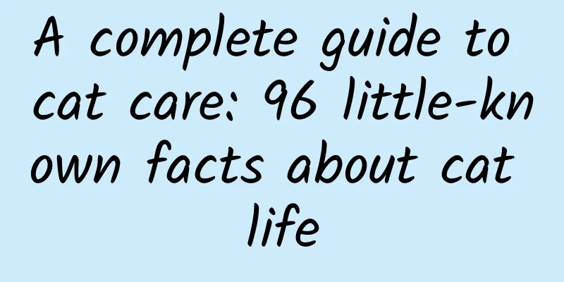 A complete guide to cat care: 96 little-known facts about cat life