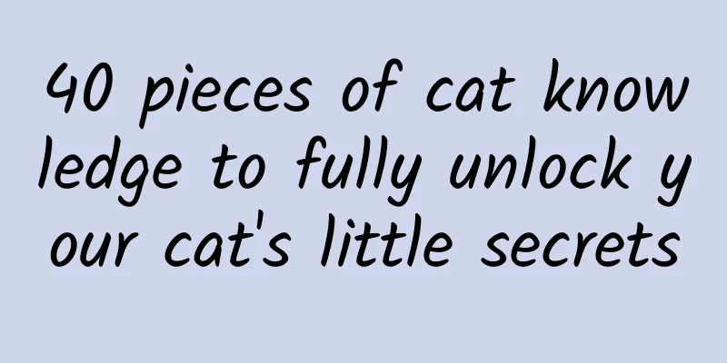 40 pieces of cat knowledge to fully unlock your cat's little secrets