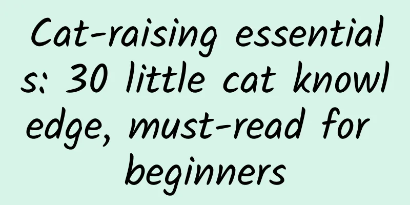 Cat-raising essentials: 30 little cat knowledge, must-read for beginners