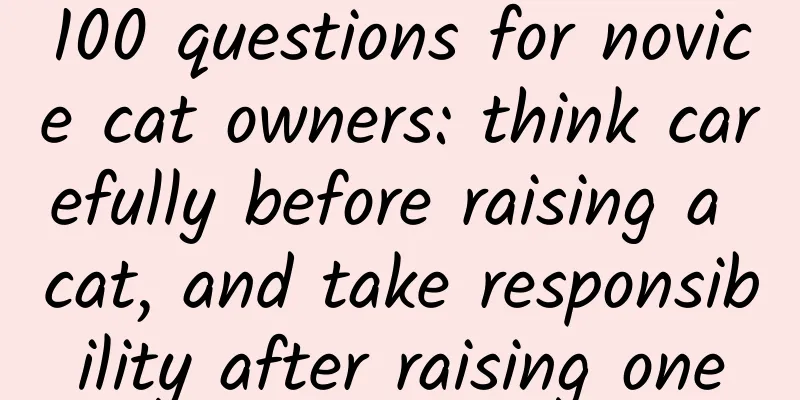 100 questions for novice cat owners: think carefully before raising a cat, and take responsibility after raising one