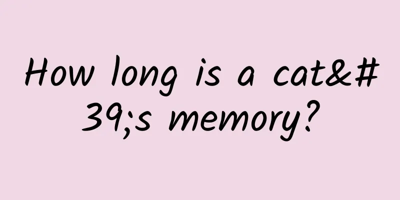 How long is a cat's memory?