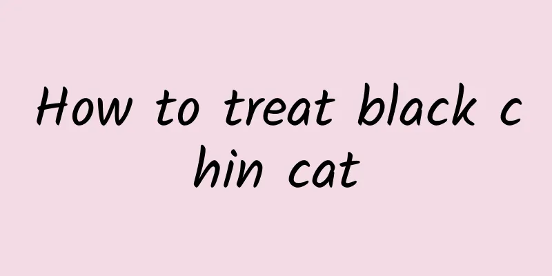 How to treat black chin cat