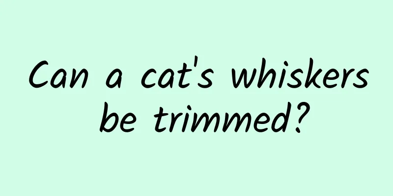 Can a cat's whiskers be trimmed?