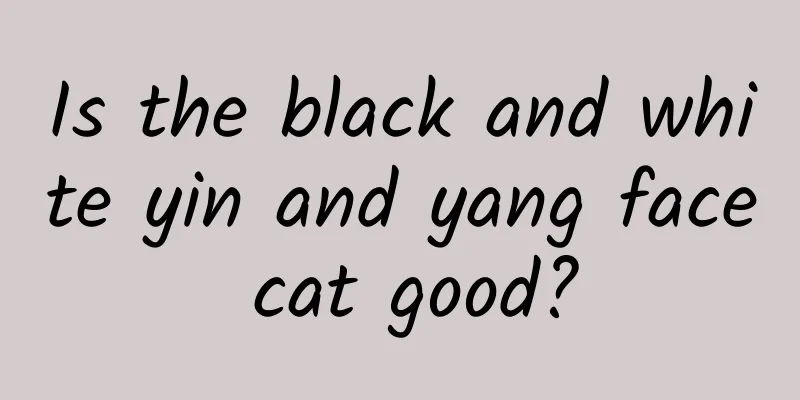 Is the black and white yin and yang face cat good?