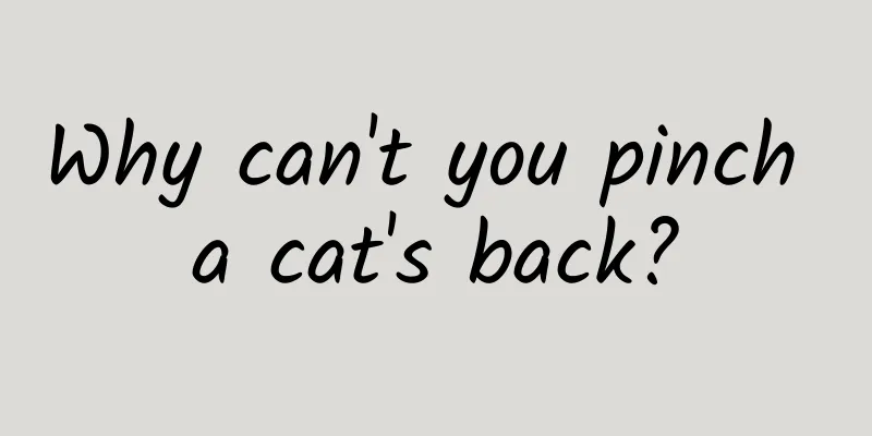 Why can't you pinch a cat's back?