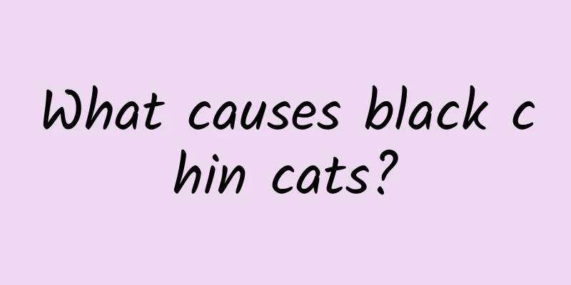 What causes black chin cats?