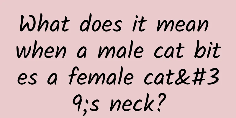 What does it mean when a male cat bites a female cat's neck?