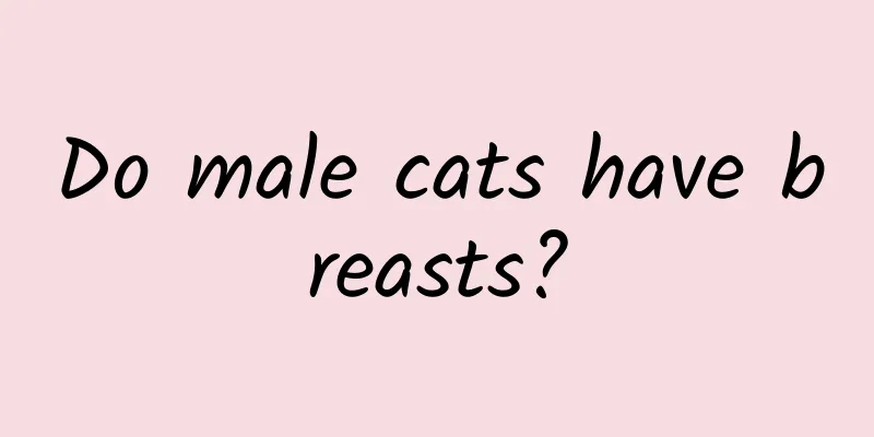 Do male cats have breasts?