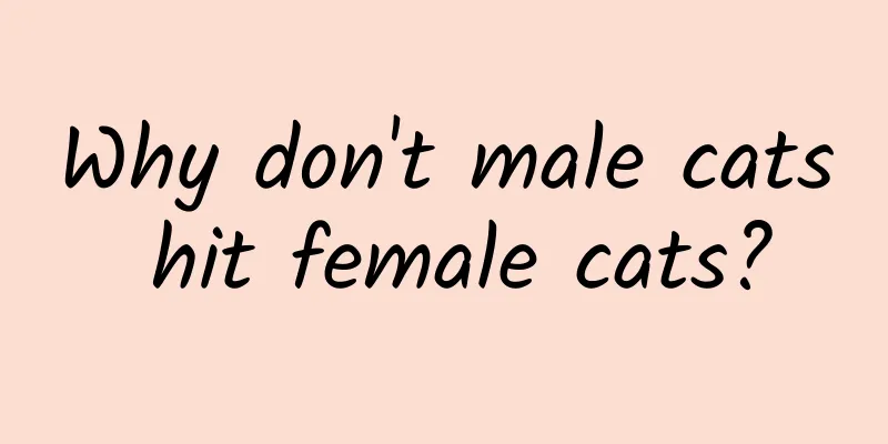 Why don't male cats hit female cats?