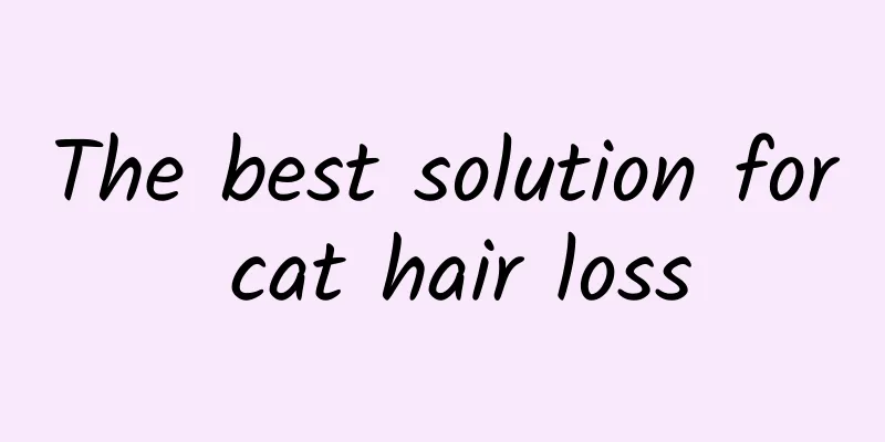 The best solution for cat hair loss