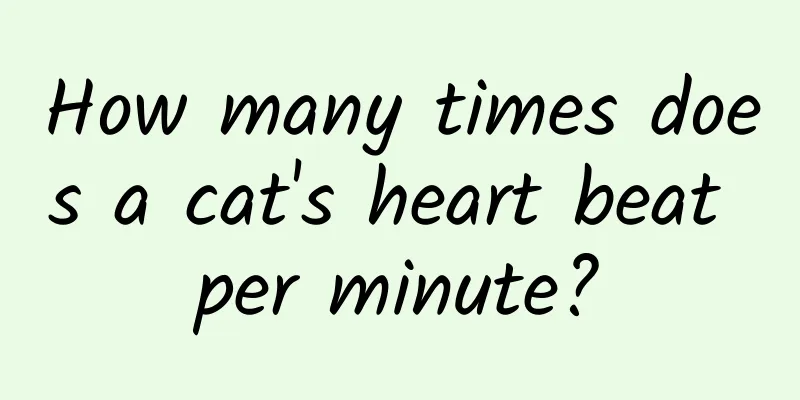 How many times does a cat's heart beat per minute?
