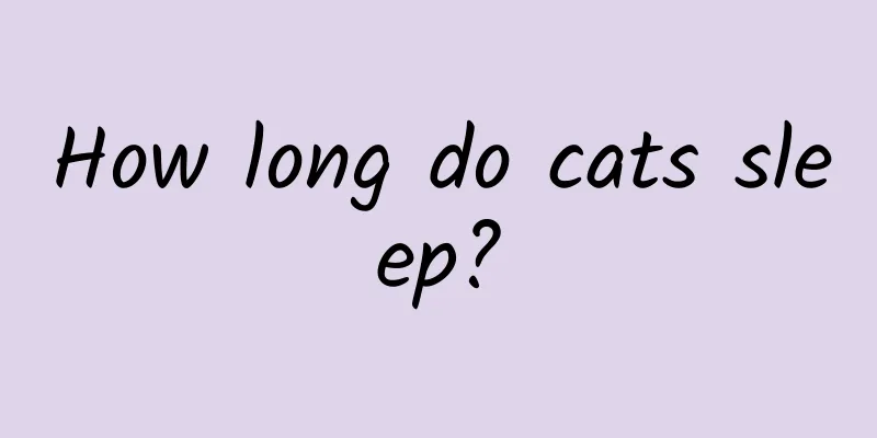 How long do cats sleep?