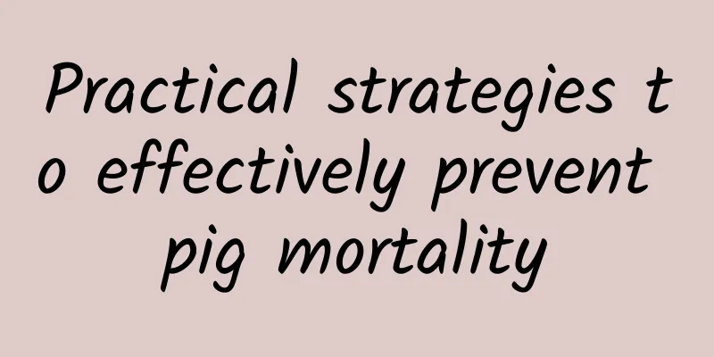 Practical strategies to effectively prevent pig mortality