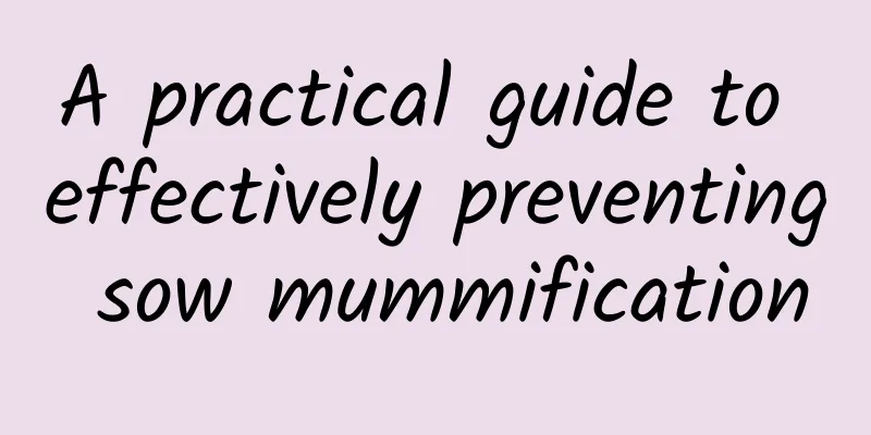 A practical guide to effectively preventing sow mummification