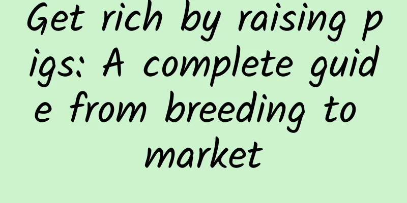 Get rich by raising pigs: A complete guide from breeding to market