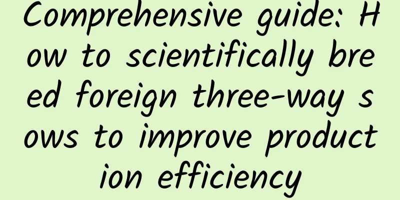 Comprehensive guide: How to scientifically breed foreign three-way sows to improve production efficiency