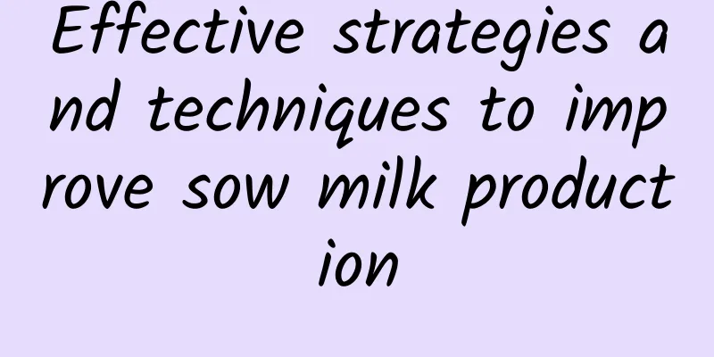 Effective strategies and techniques to improve sow milk production