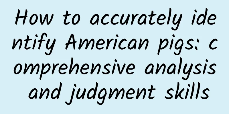 How to accurately identify American pigs: comprehensive analysis and judgment skills