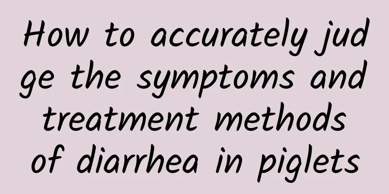 How to accurately judge the symptoms and treatment methods of diarrhea in piglets